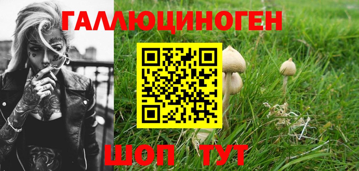 Псилоцибиновые грибы Psilocybine cubensis  Вход с VPN  где продают наркотики  Баксан 