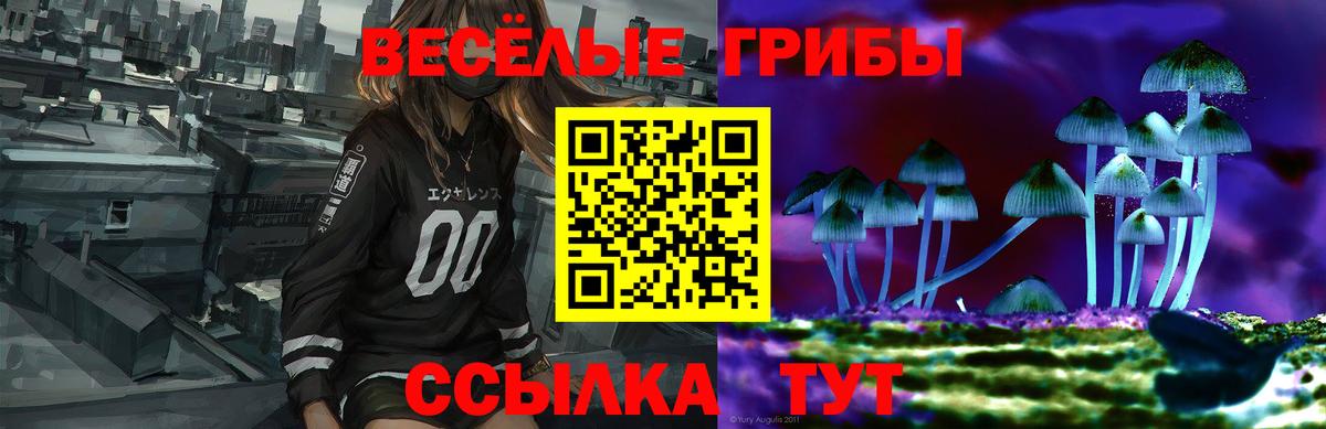 Псилоцибиновые грибы Psilocybine cubensis Баксан